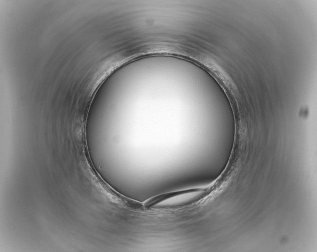 X0000093570993200710291036