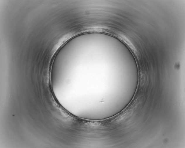 X0000093570994200710291036