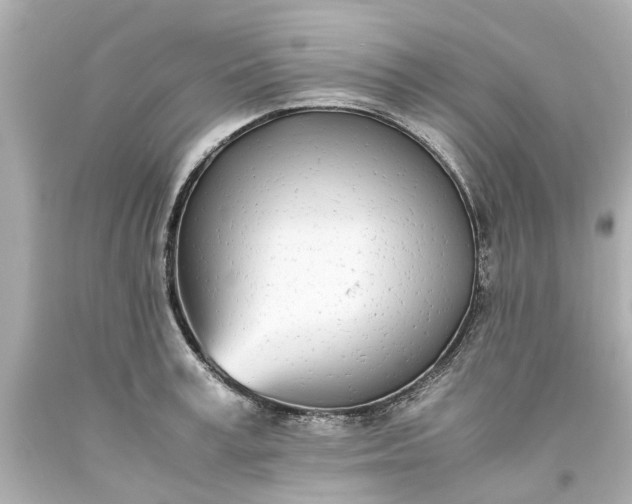 X0000093570995200710291036