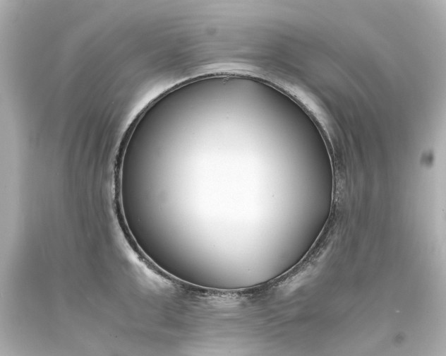 X0000093570999200710291036