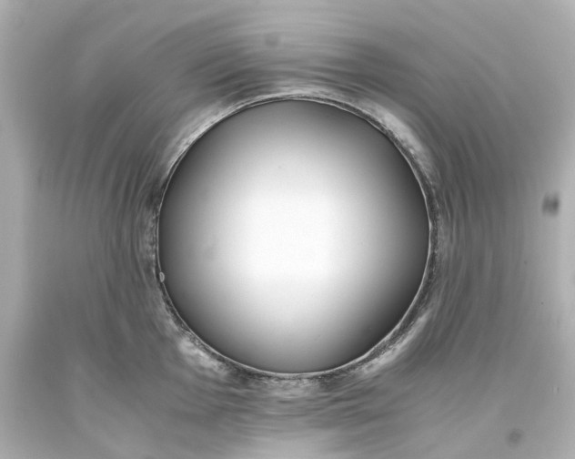 X0000093571001200710291036