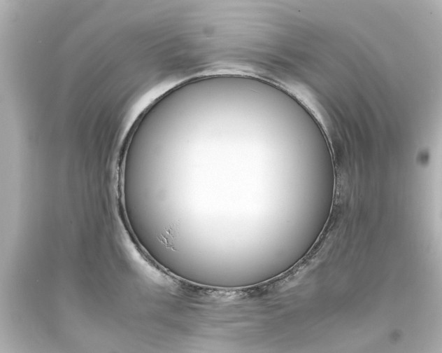 X0000093571003200710291036