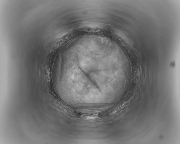 X0000093571013200710291035