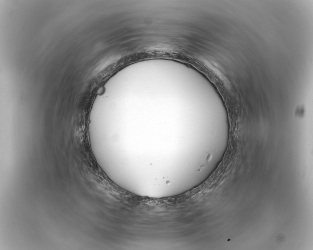 X0000093571015200710291035