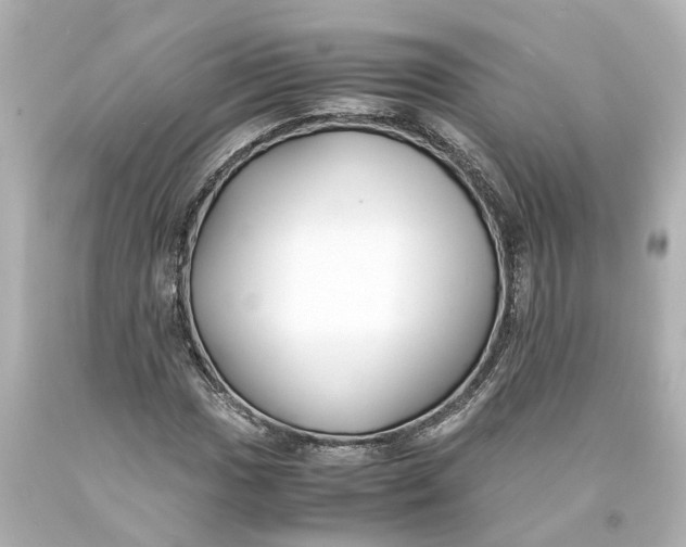 X0000093571017200710291035