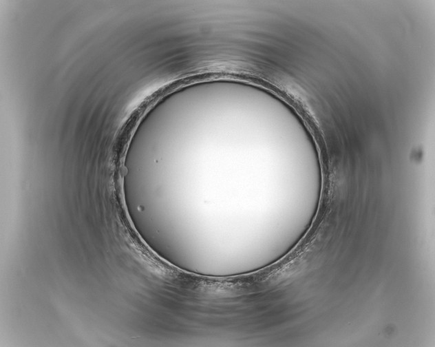 X0000093571019200710291035