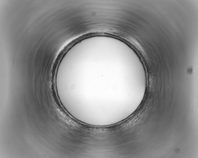 X0000093571020200710291035