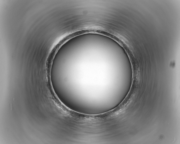 X0000093571022200710291035