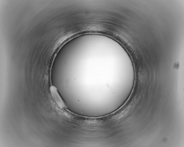 X0000093571025200710291035