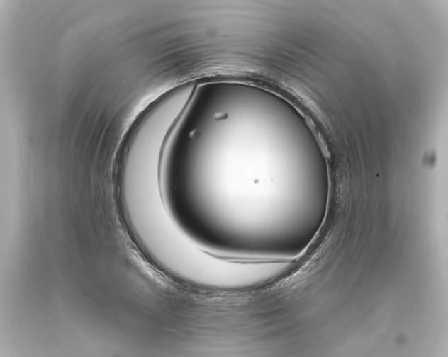 X0000093571026200710291035