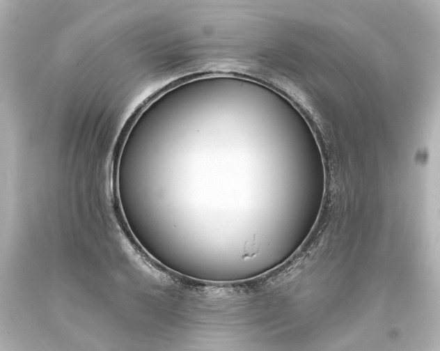 X0000093571032200710291035