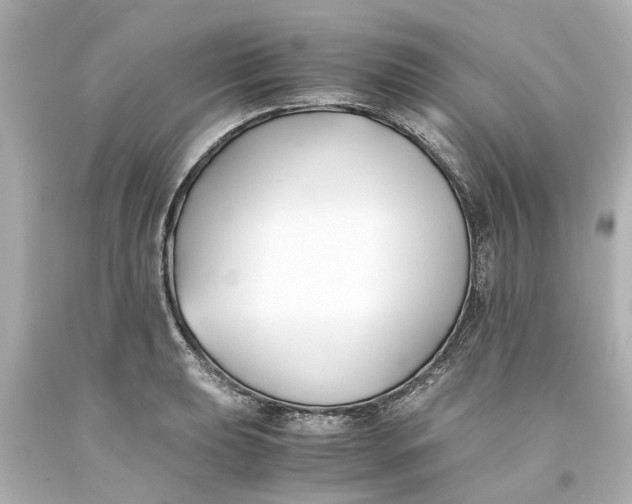 X0000093571039200710291036