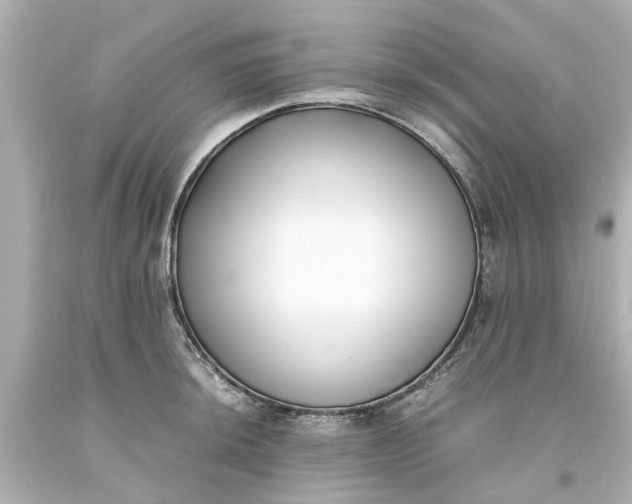 X0000093571044200710291036