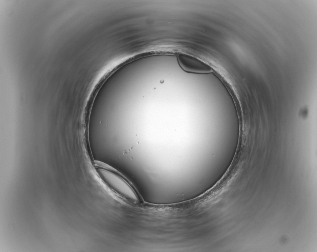 X0000093571045200710291036