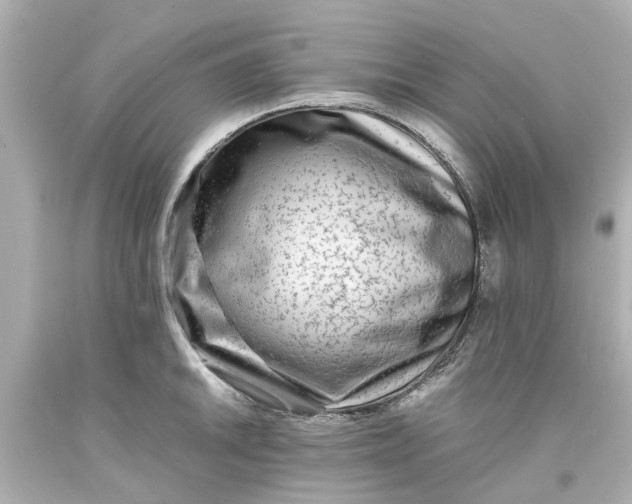 X0000093571046200710291036