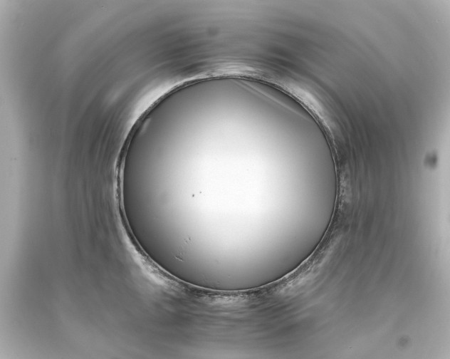 X0000093571047200710291036