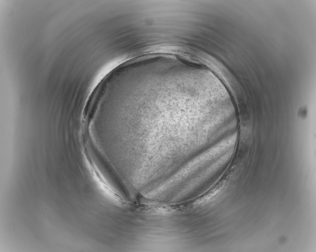 X0000093571050200710291036