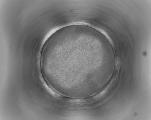 X0000093571054200710291036