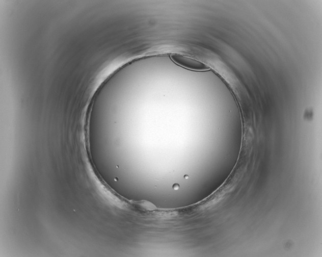 X0000093571055200710291036