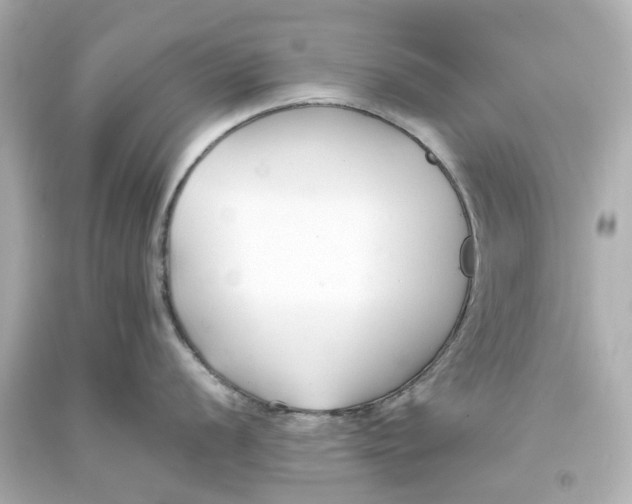 X0000093571056200710291036