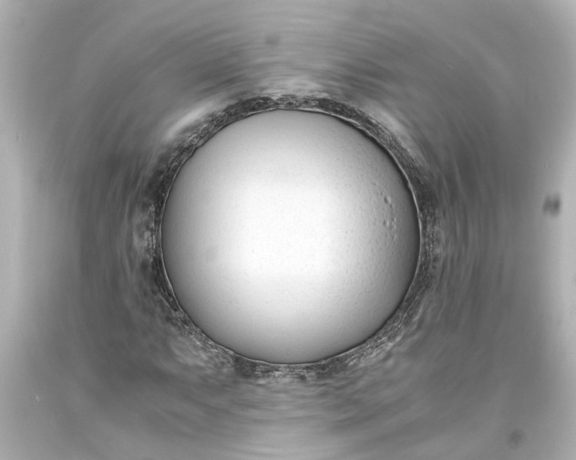 X0000093571063200710291035