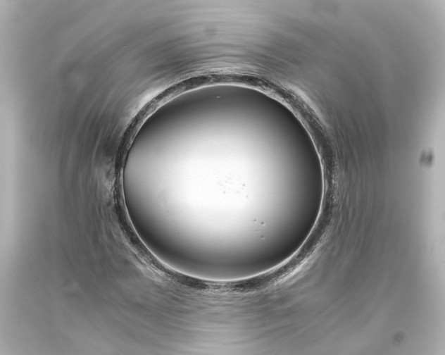 X0000093571065200710291035