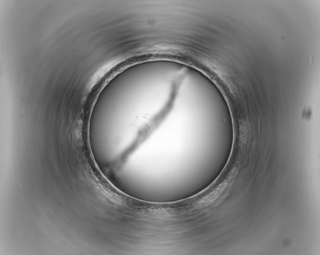 X0000093571066200710291035