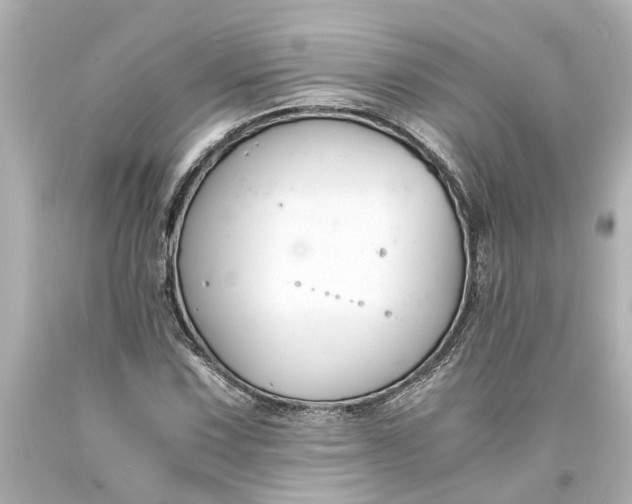 X0000093571067200710291035