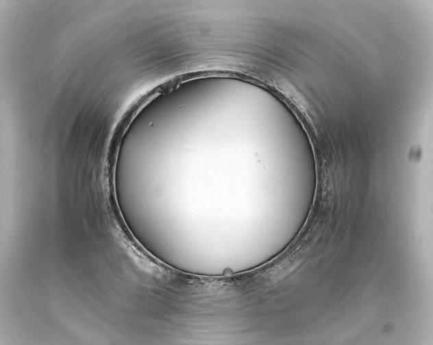 X0000093571072200710291035