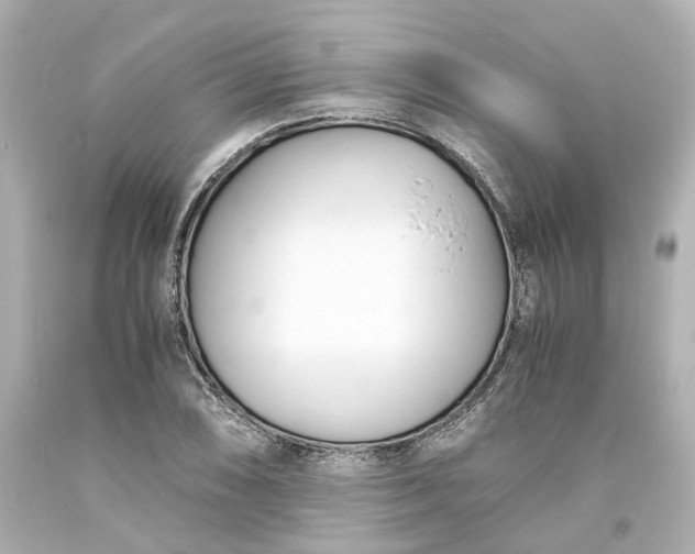 X0000093571074200710291035