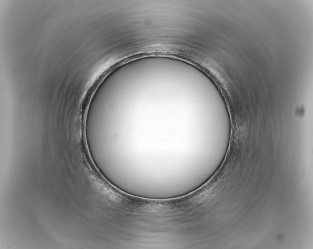 X0000093571075200710291035