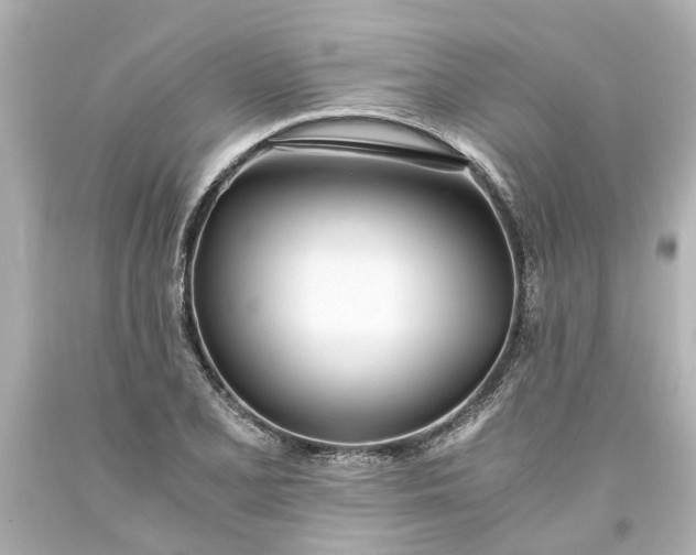 X0000093571077200710291035