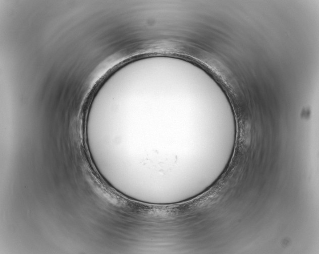 X0000093571078200710291035