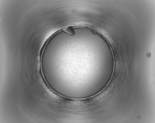 X0000093571079200710291035