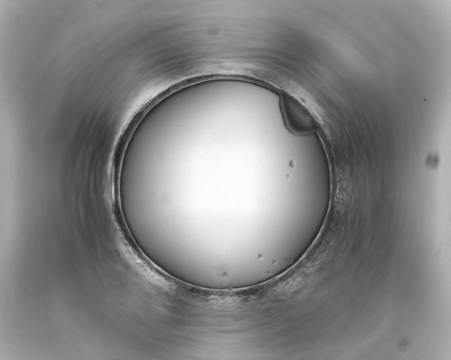 X0000093571080200710291035