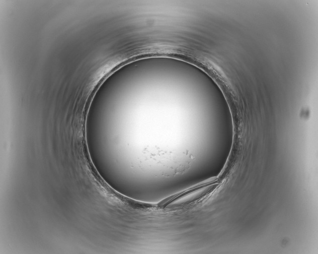 X0000093571081200710291035