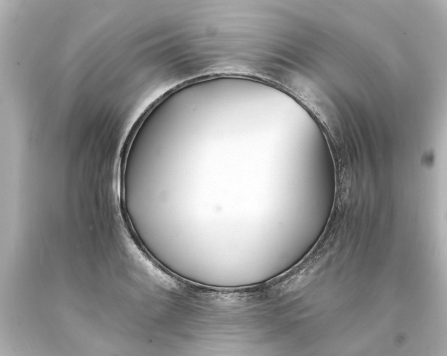 X0000093571084200710291035