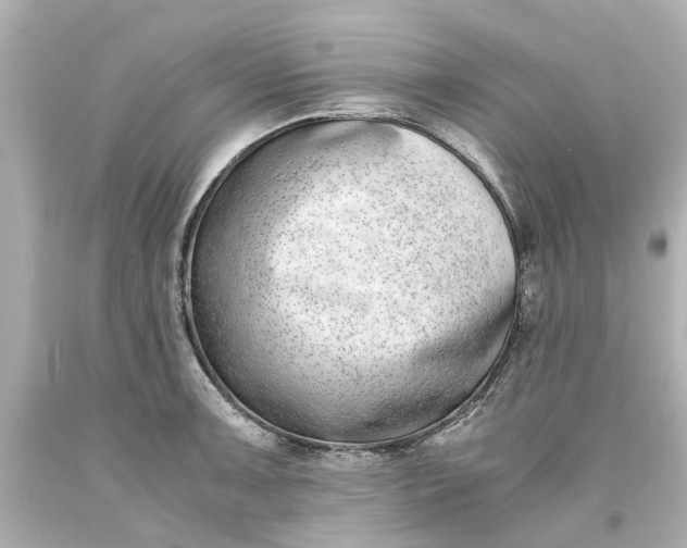 X0000093571091200710291035
