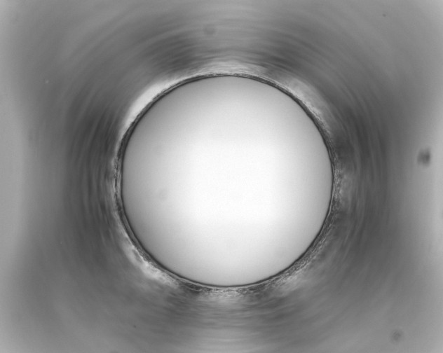 X0000093571094200710291035