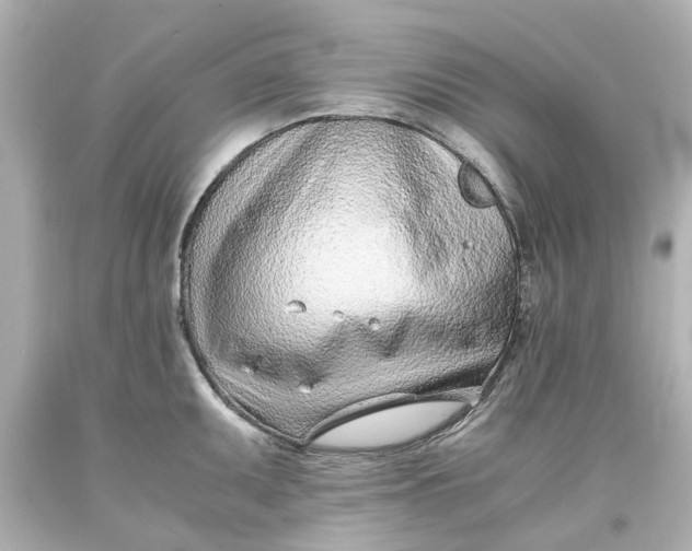 X0000093571095200710291035
