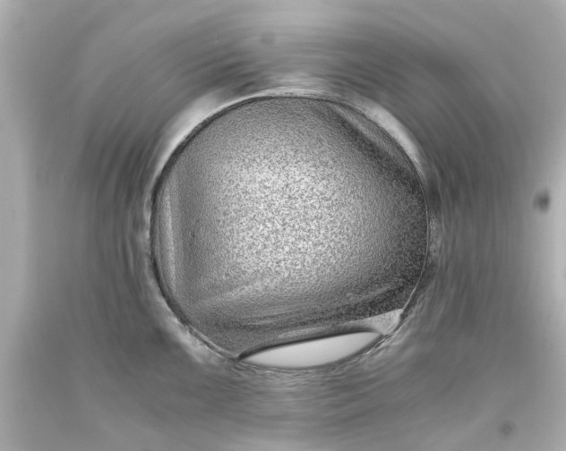 X0000093571099200710291035