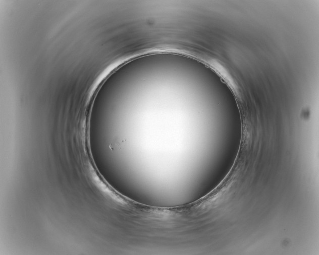 X0000093571100200710291035