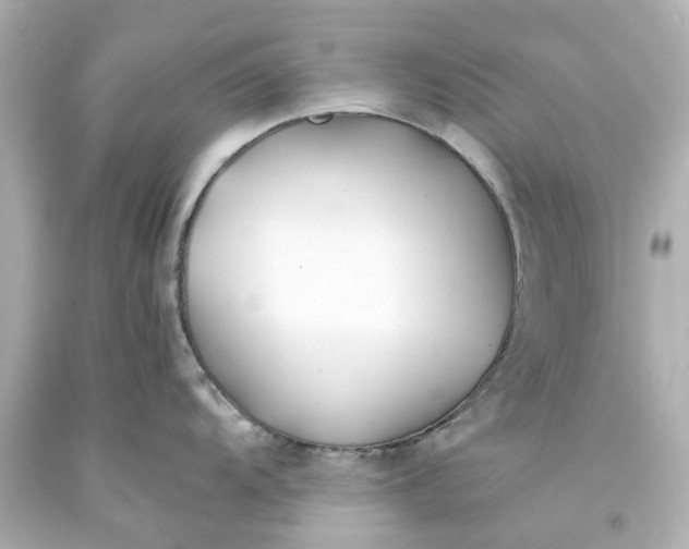 X0000093571104200710291035
