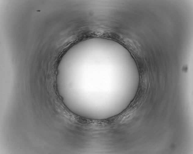 X0000093571105200710291034