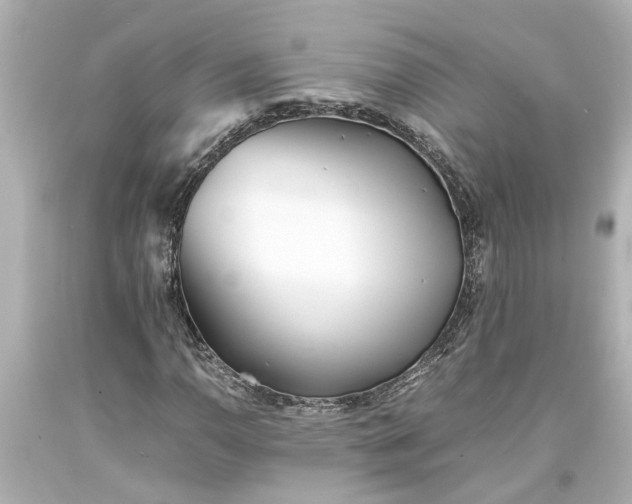X0000093571110200710291034