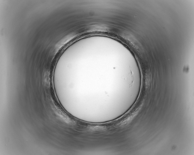 X0000093571113200710291034