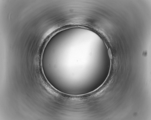 X0000093571114200710291034
