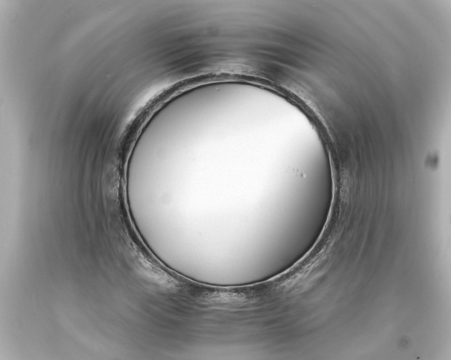 X0000093571115200710291034