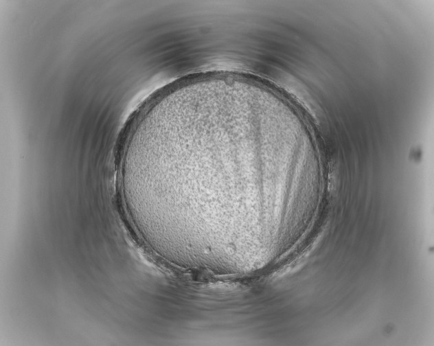 X0000093571117200710291034