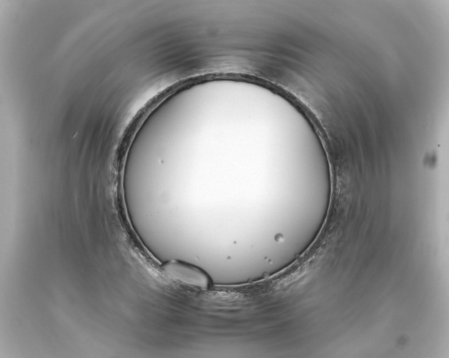 X0000093571119200710291034